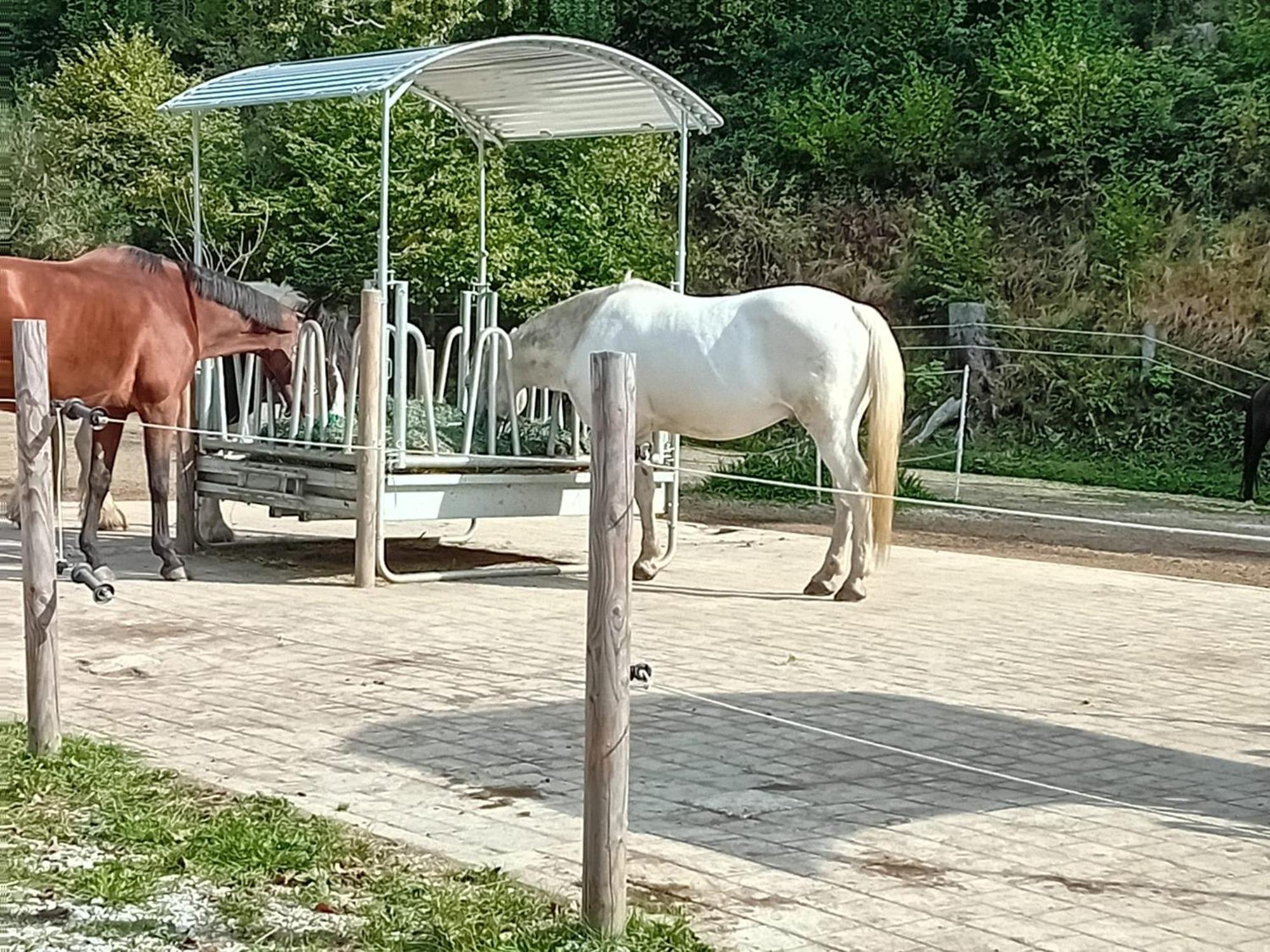 Willa Pferdehof Reitingau Mautern In Steiermark Zewnętrze zdjęcie